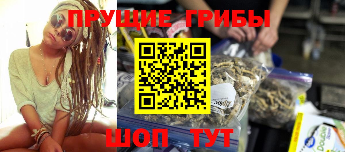 Псилоцибиновые грибы Psilocybine cubensis Новый Уренгой
