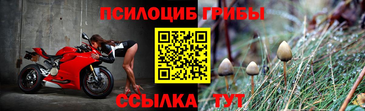 купить  цена  Галлюциногенные грибы мицелий  Псилоцибиновые грибы Magic Shrooms  Вход с VPN  Новый Уренгой 